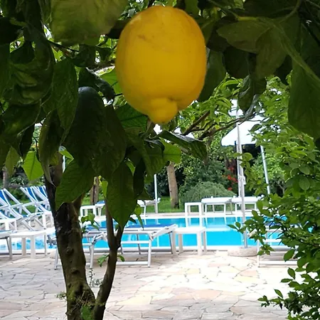 Ξενοδοχείο Tourist